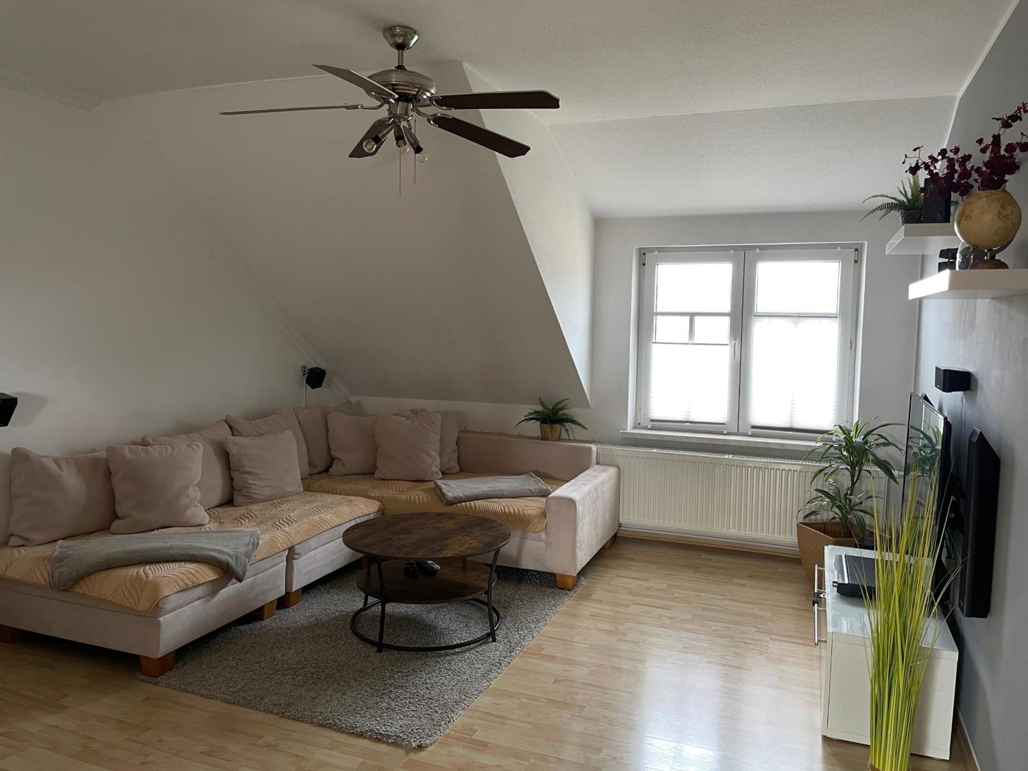 Bambus, Jungle, Dachterrasse & Bequem Bis Zentrum Radebeul Eksteriør bilde